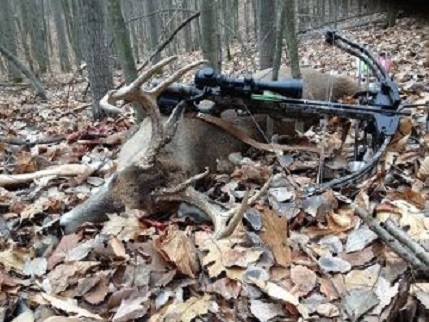 Акция!!! Блочный арбалет Ten Point Titan Xtreme (USA).