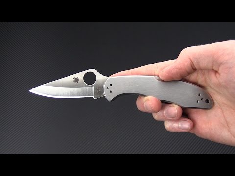 Складной нож Spyderco Delica C11P