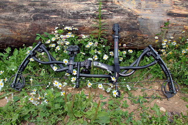 Блочный лук Hoyt "Carbon Element G3".