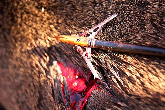 Наконечники для охоты TenPoint «CenterPunch» 3 шт.