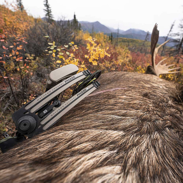 Лук блочный Mathews PHASE4 29"